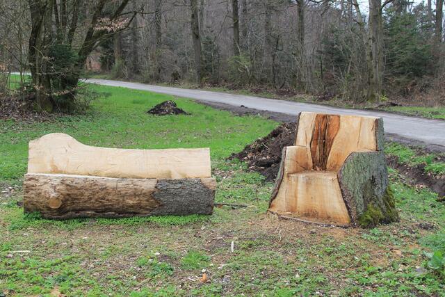 🌳🌲🍁🍂Holz soweit das Auge reicht🍂🍁🌲🌳 | Foto: Ralf Röser