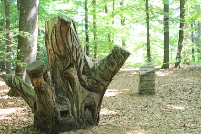 🌳🌲🍁🍂Holz soweit das Auge reicht🍂🍁🌲🌳 | Foto: Ralf Röser