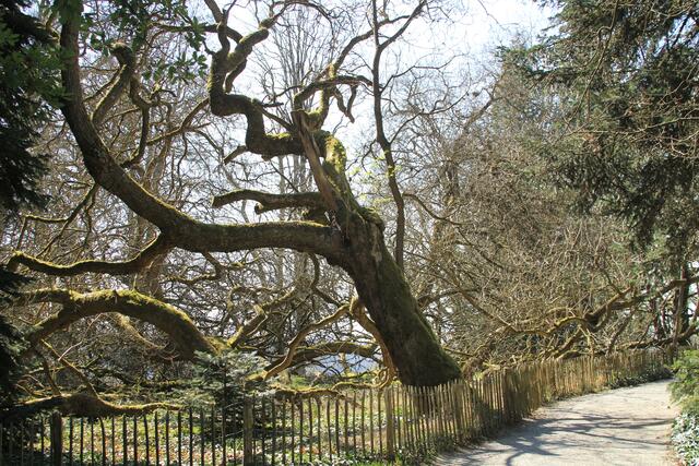 🌳🌲🍁🍂Holz soweit das Auge reicht🍂🍁🌲🌳 | Foto: Ralf Röser