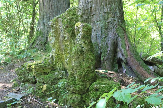 🌳🌲🍁🍂Holz soweit das Auge reicht🍂🍁🌲🌳 | Foto: Ralf Röser