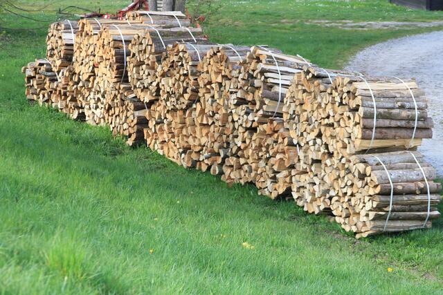 🌳🌲🍁🍂Holz soweit das Auge reicht🍂🍁🌲🌳 | Foto: Ralf Röser