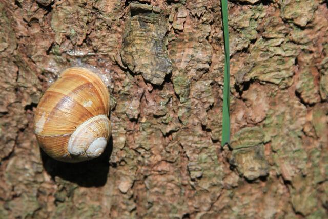 🌳🌲🍁🍂Holz soweit das Auge reicht🍂🍁🌲🌳 | Foto: Ralf Röser