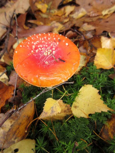 Foto: WandernGabyErich