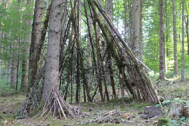 🌳🌲🍁🍂Holz soweit das Auge reicht🍂🍁🌲🌳 | Foto: Ralf Röser