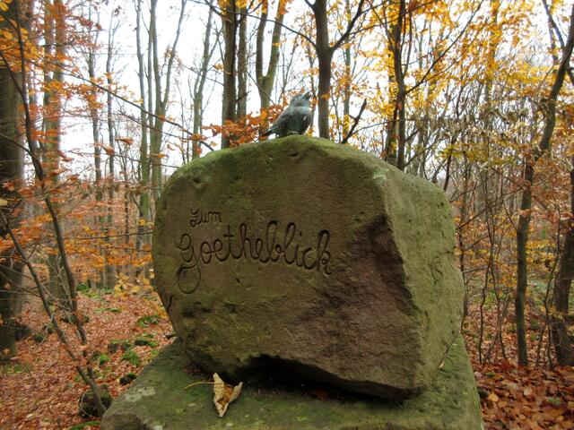 Hinweis zum Goetheblick, endlich eine Chance den Neckar zu sehen | Foto: WandernGabyErich