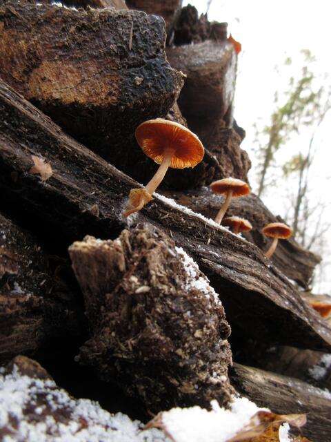 Foto: WandernGabyErich
