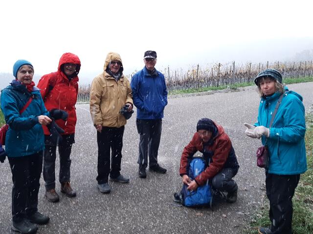 Immer mehr Schneeflocken | Foto: E. Rosendorf