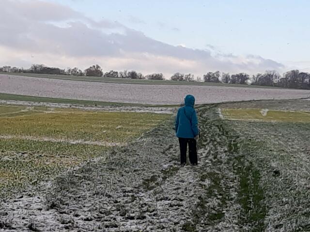 Nach dem Schnee, der Blick zurück | Foto: E. Rosendorf