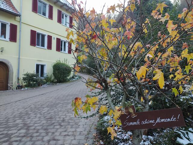 Foto: Sigrid Schlottke