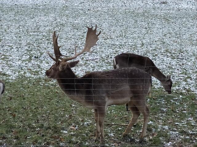 Foto: Sigrid Schlottke