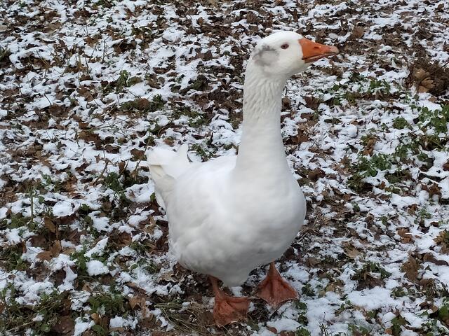 Foto: Sigrid Schlottke