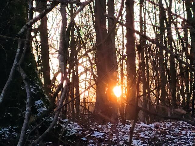 Foto: Sigrid Schlottke