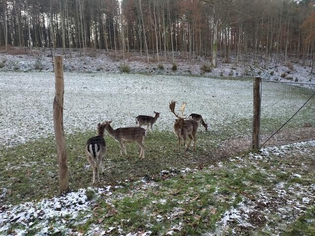 Foto: Sigrid Schlottke