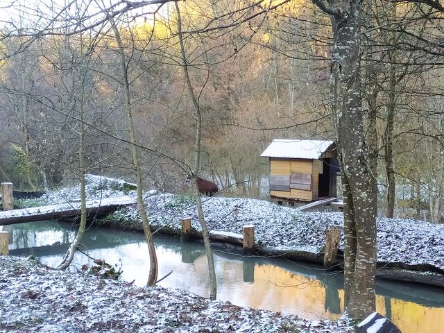 Foto: Sigrid Schlottke