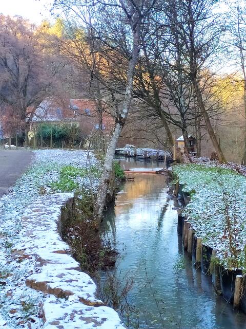 Foto: Sigrid Schlottke