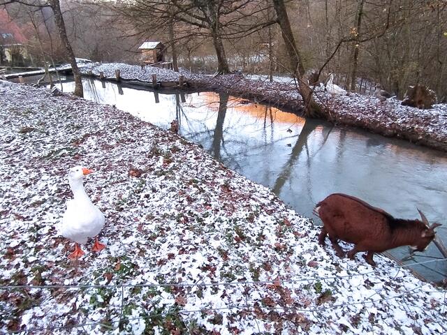 Foto: Sigrid Schlottke