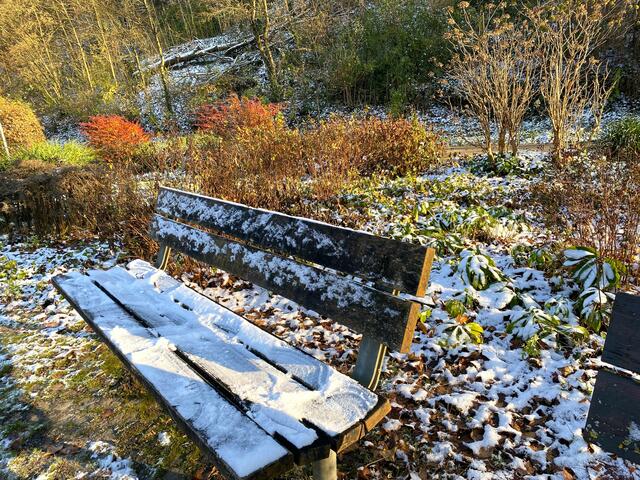 Foto: Heide Böllinger aus Bad Friedrichshall