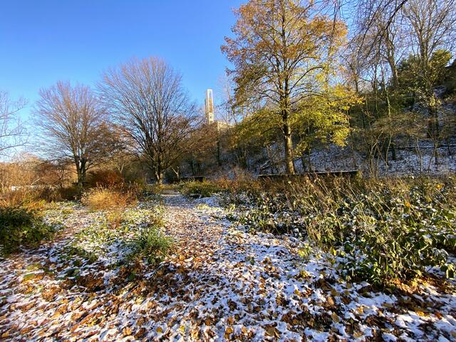 Foto: Heide Böllinger aus Bad Friedrichshall