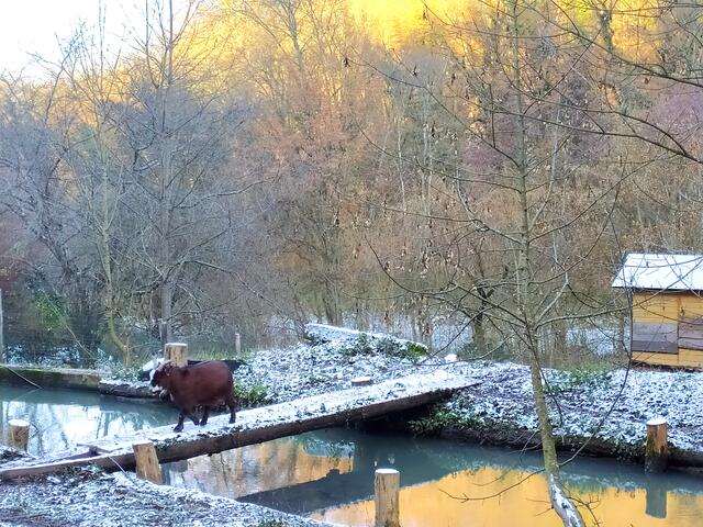 Foto: Sigrid Schlottke