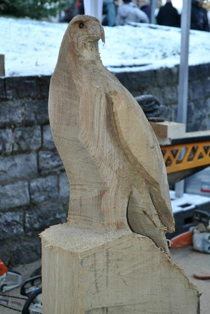 Noch gibt es einiges an Arbeit. Aber man sieht schon den stolzen Vogel. | Foto: Daniela Somers