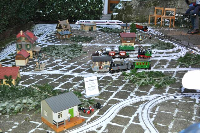 Hier fährt ICE und Dampflok gemeinsam | Foto: Daniela Somers