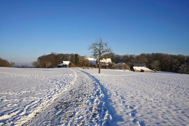 Foto: Ulrich Seidel