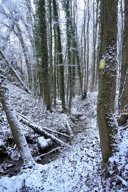 Foto: Ulrich Seidel
