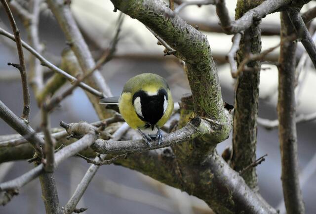 Liegt das schon richtig? | Foto: Daniela Somers