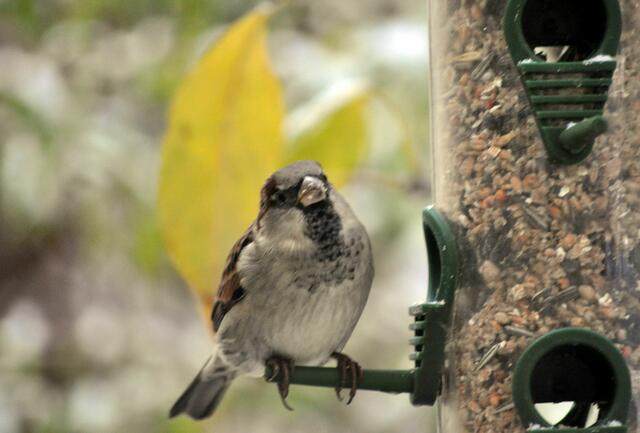 Am Besten ich bleib gleich sitzen. Dann kann niemand anders her. | Foto: Daniela Somers