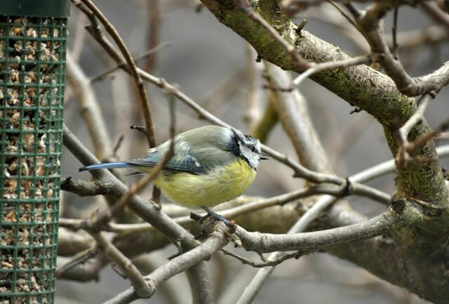 Ja, ich bin satt. Sieht man das? | Foto: Daniela Somers