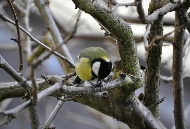 Dann mal schauen wie lange ich brauche bis es auf ist. | Foto: Daniela Somers
