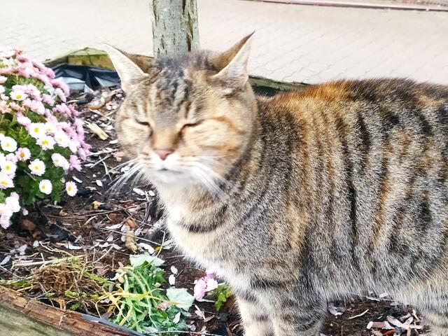 "Hm, Augen zu und einfach nur genießen" | Foto: Sigrid Schlottke
