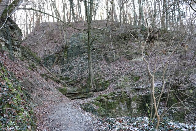Foto: Marga Specht