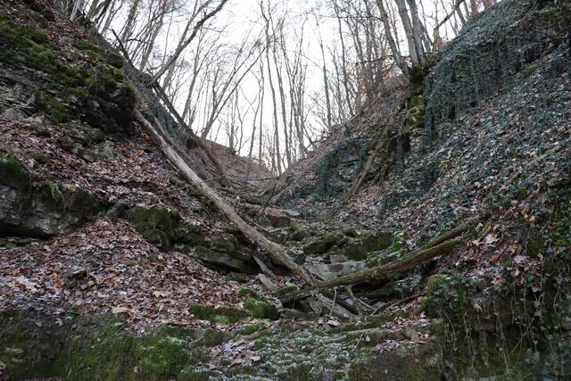 Klinge auf dem Wanderweg durch die Halde | Foto: Marga Specht