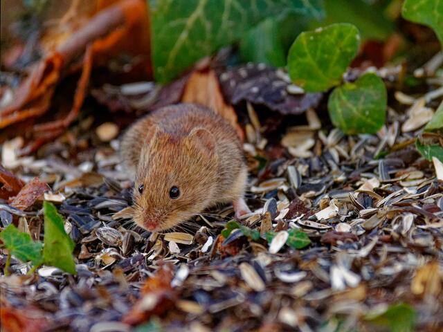 Foto: Eigenes Bild TB