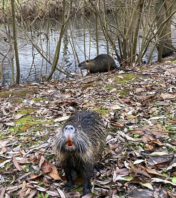 Foto: Heide Böllinger aus Bad Friedrichshall