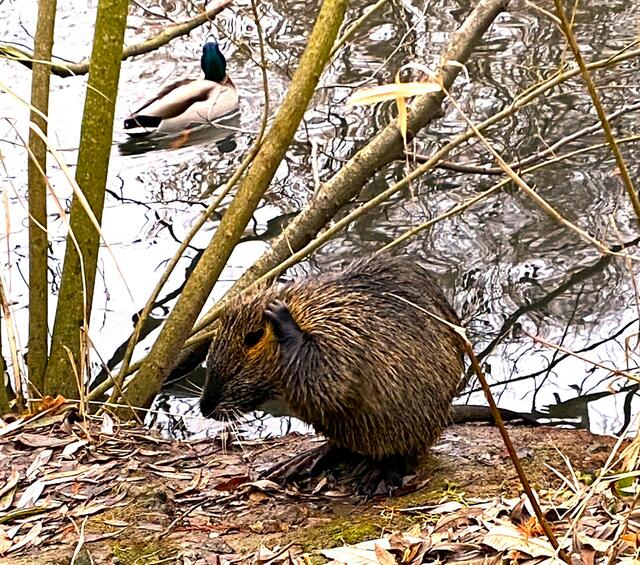 Foto: Heide Böllinger aus Bad Friedrichshall