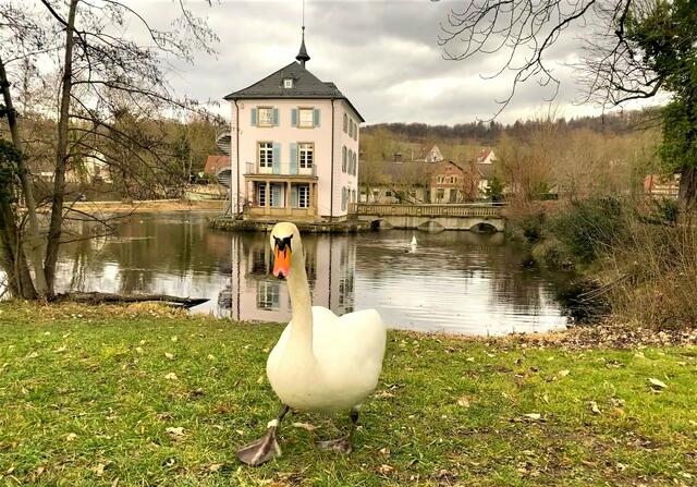 Foto: Heide Böllinger aus Bad Friedrichshall