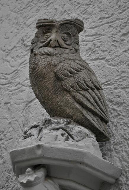 Eule am Bandhaus | Foto: Daniela Somers