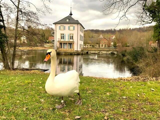 Foto: Heide Böllinger aus Bad Friedrichshall