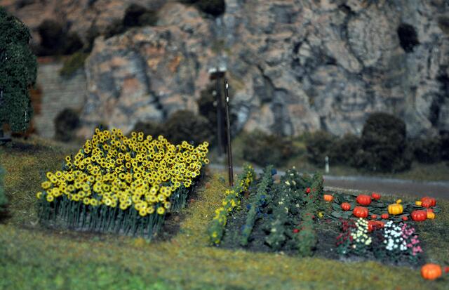 Foto: Daniela Somers