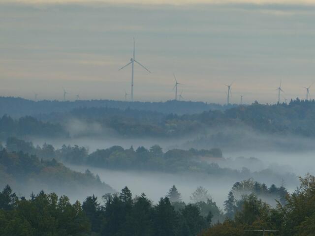 Wald vom Nebel umhüllt: Helmut Brehm schaffte es mit diesem schönen Spätherbst-Motiv zum Bild des Monats November! | Foto: Helmut Brehm