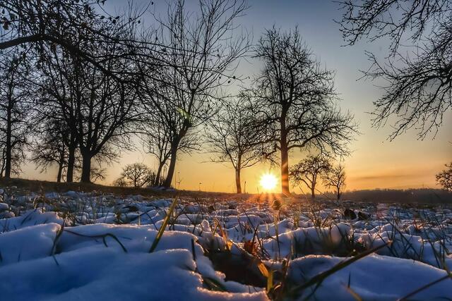 Der eisige Schnee kommt durch das strahlende Wintersonnenlicht am Morgen besonders gut zur Geltung. Diesen idyllischen Moment hielt Stephanie Rüdele im Bild des Monats Dezember fest. | Foto: Stephanie Rüdele