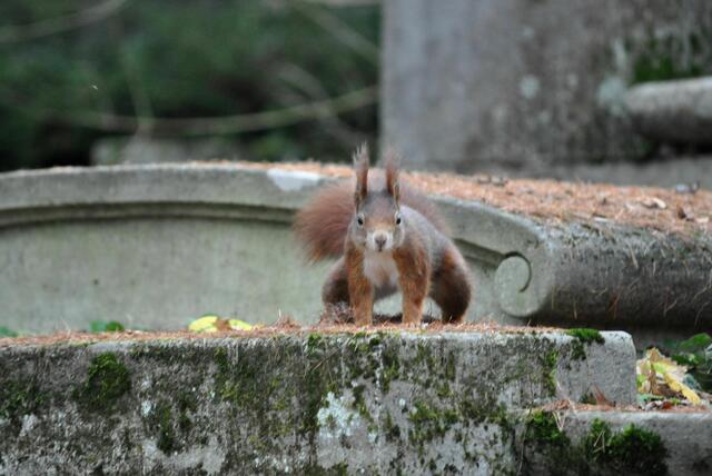 Und nun? Steht mir nicht ein Lohn als Modell zu? | Foto: Daniela Somers