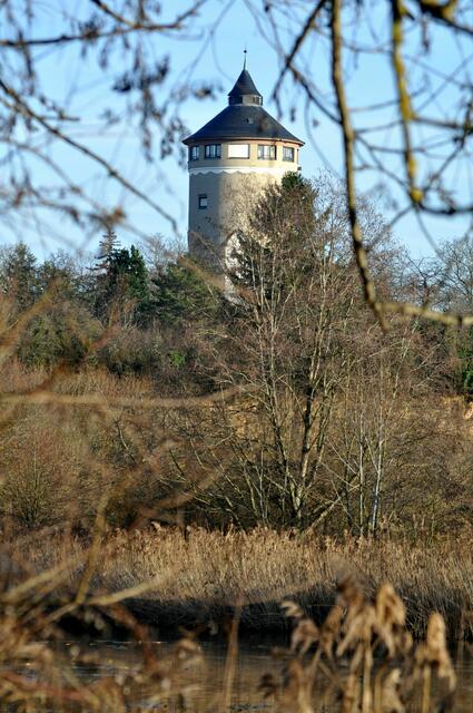Einfach ein Hingucker. | Foto: Daniela Somers