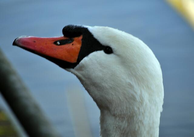 Hast du was mitgebracht? | Foto: Daniela Somers