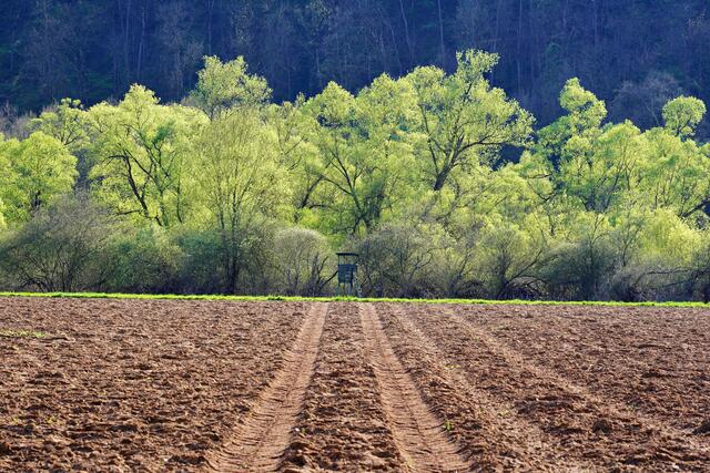 April - Frisches Grün am Kaywald | Foto: Ulrich Seidel
