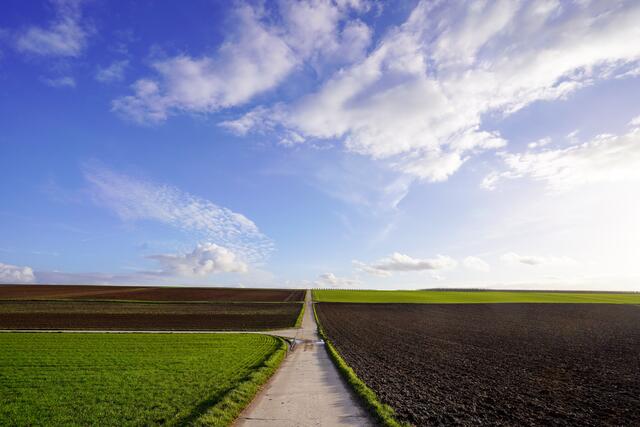Februar - Weite zwischen Lauffen, Nordheim und Lauffen | Foto: Ulrich Seidel