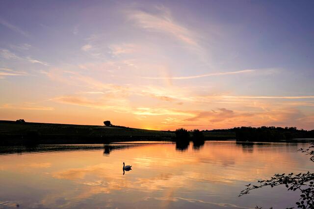 September - Abendstimmung am Neckar bei Lauffen | Foto: Ulrich Seidel