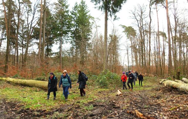 Sehr angehnehme weiche Waldwege, trotzdem war Konzentration angesagt, da viele Hindernisse auf dem Weg lagen.      | Foto: Isolde Reitz